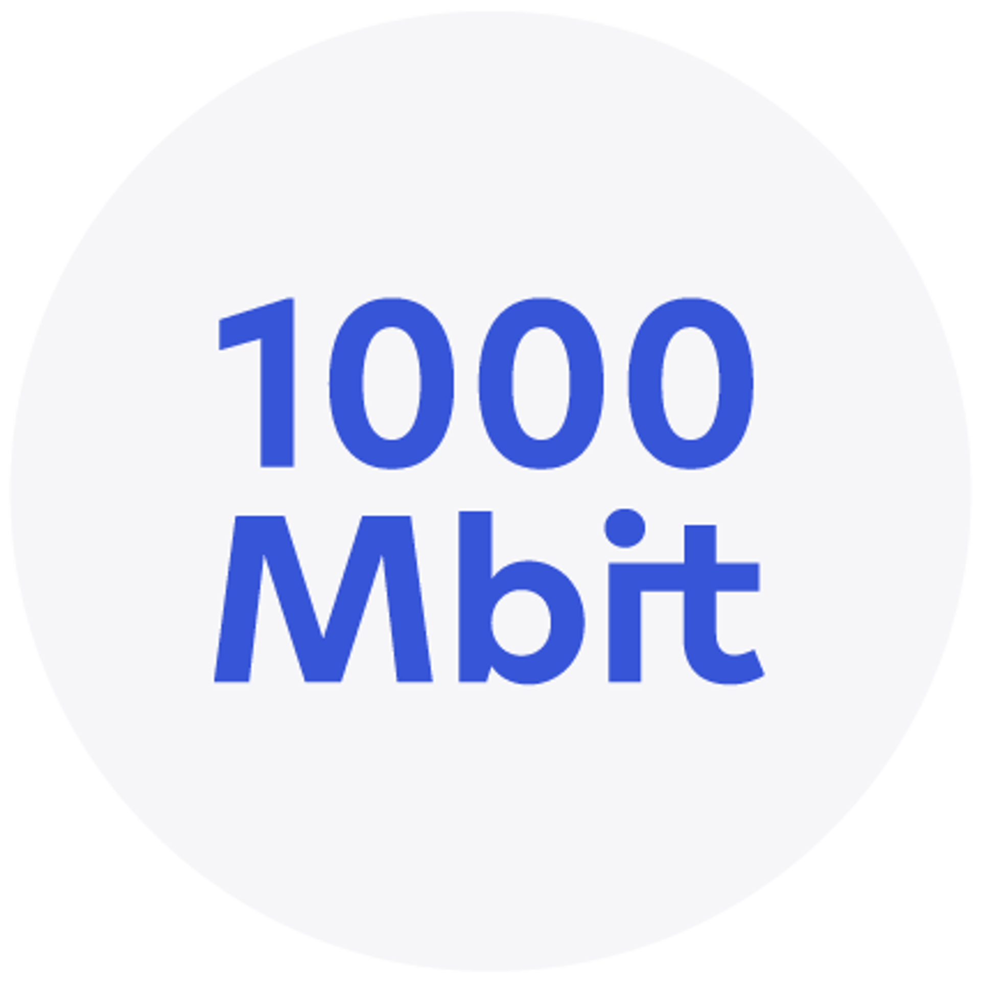 1000 Mbit
